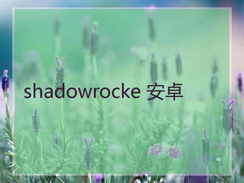 shadowrocke 安卓