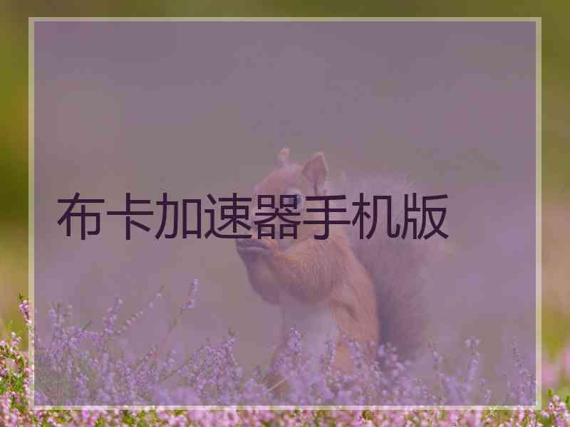 布卡加速器手机版 布卡加速器手机版