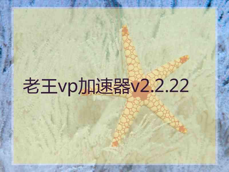 老王vp加速器v2.2.22