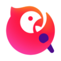 下载vpm