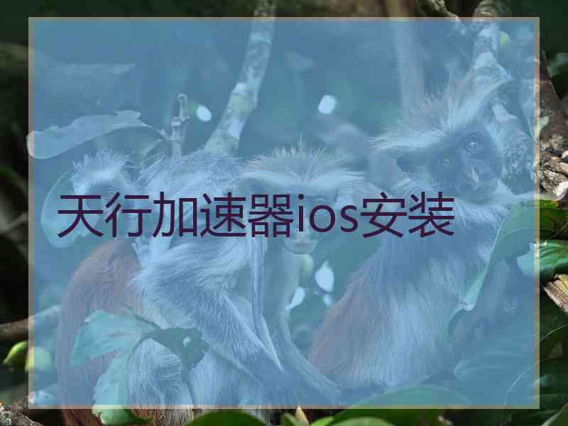 天行加速器ios安装