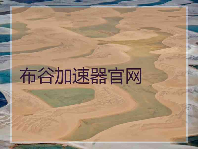 布谷加速器官网
