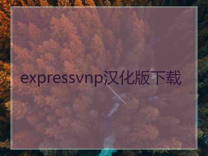 expressvnp汉化版下载