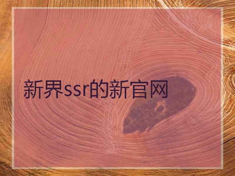 新界ssr的新官网