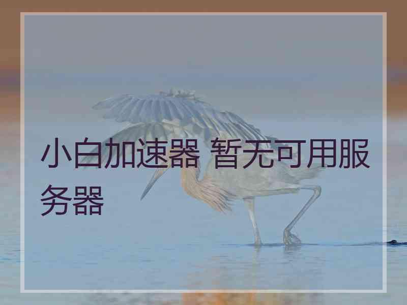 小白加速器 暂无可用服务器
