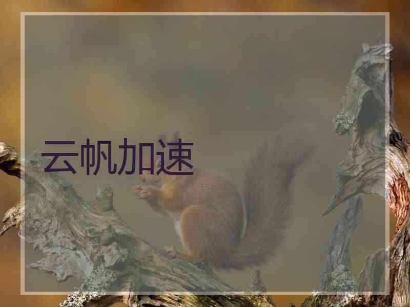 云帆加速