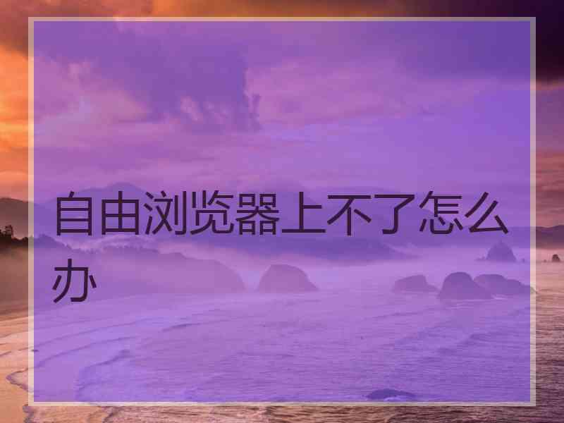 自由浏览器上不了怎么办