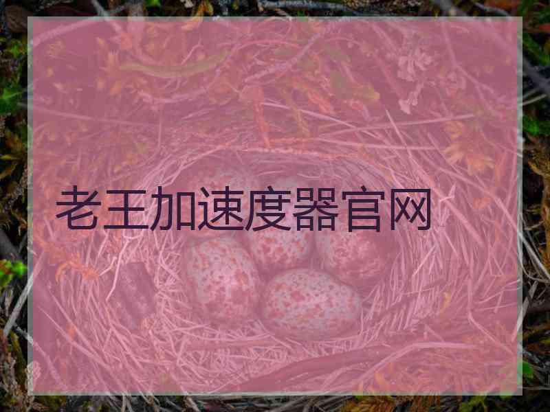 老王加速度器官网