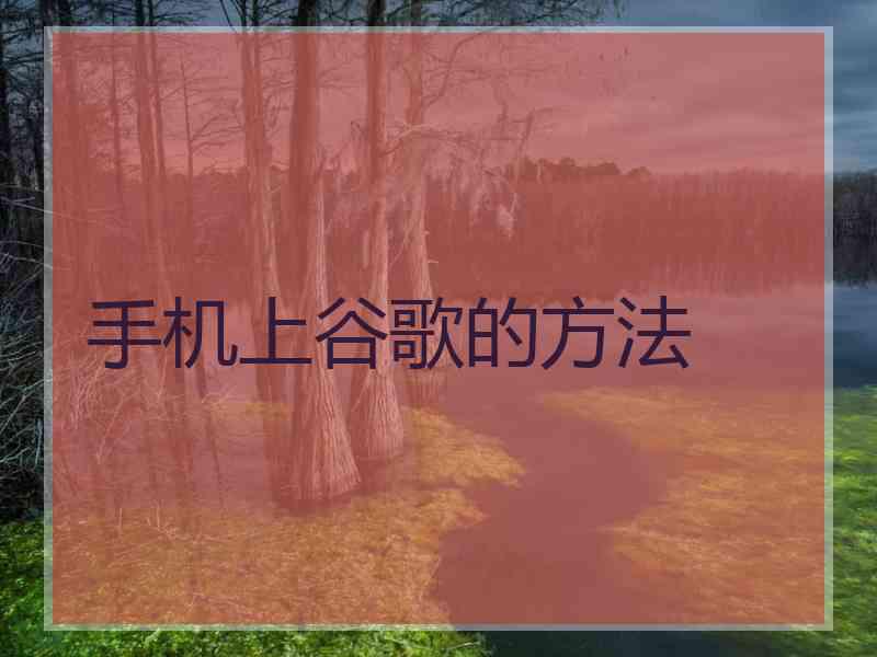 手机上谷歌的方法