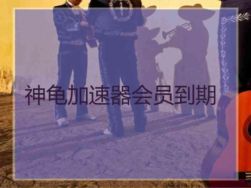 神龟加速器会员到期