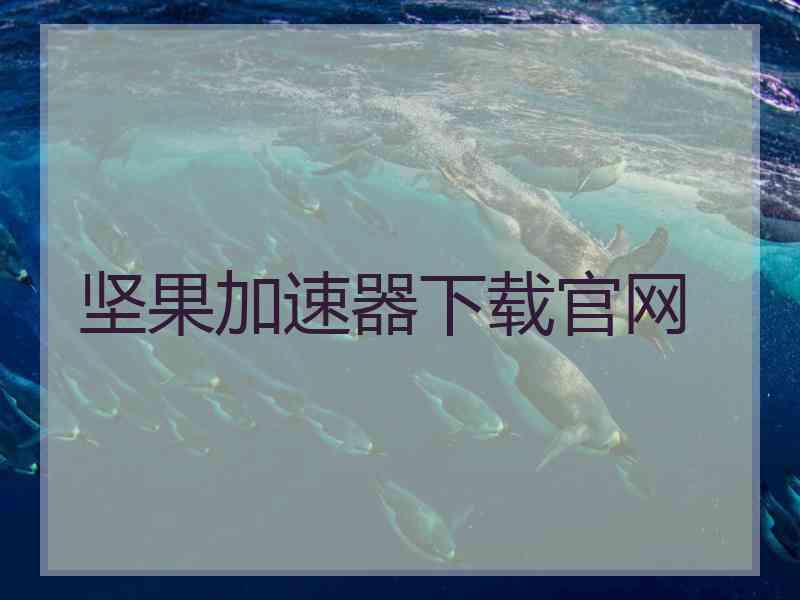 坚果加速器下载官网
