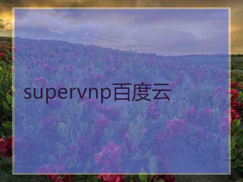 supervnp百度云