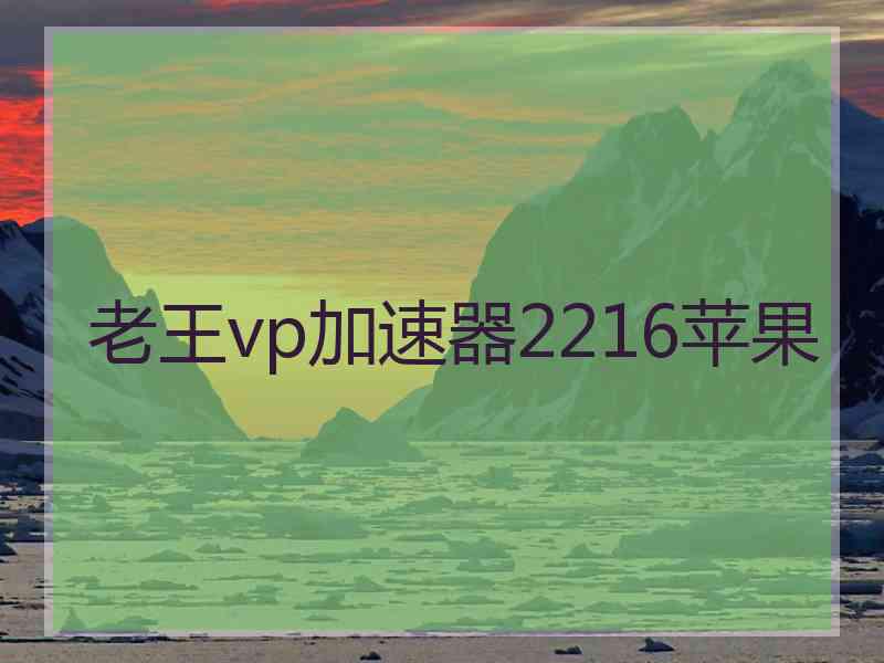 老王vp加速器2216苹果