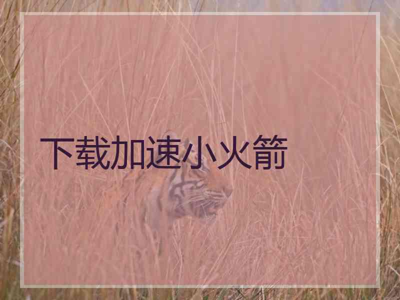 下载加速小火箭
