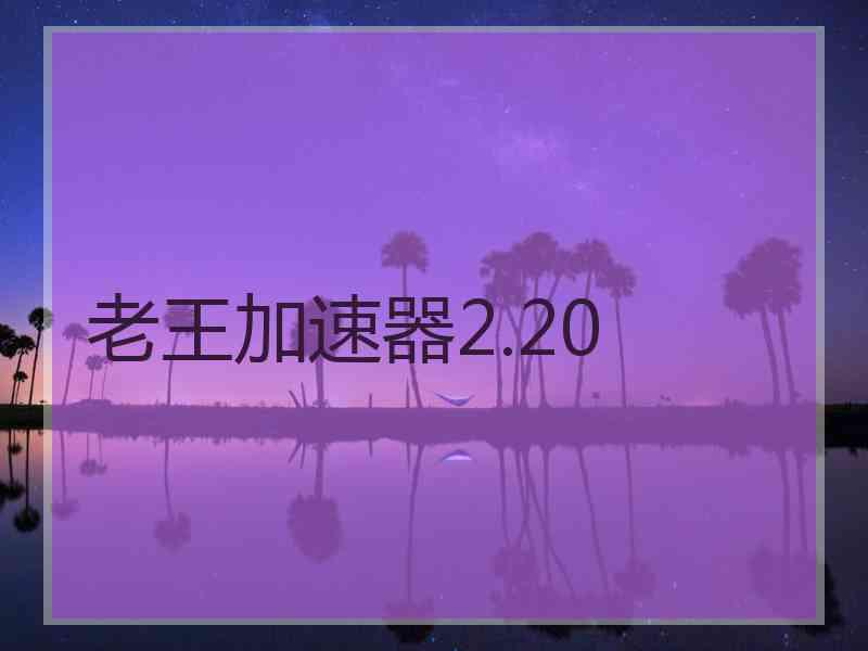 老王加速器2.20