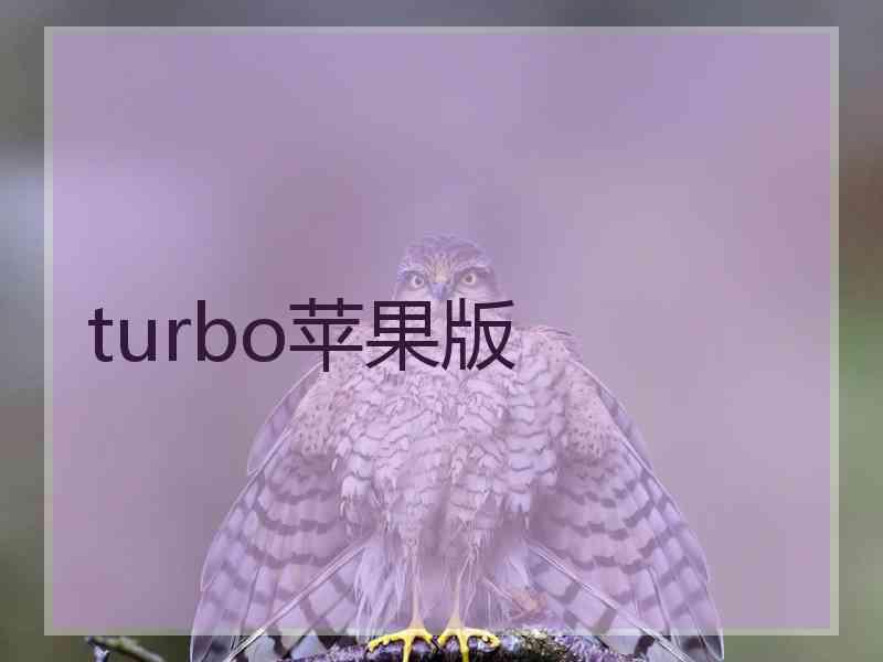 turbo苹果版