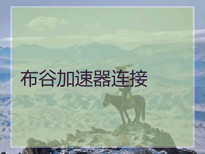 布谷加速器连接