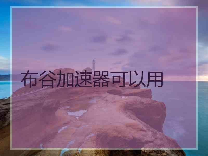 布谷加速器可以用