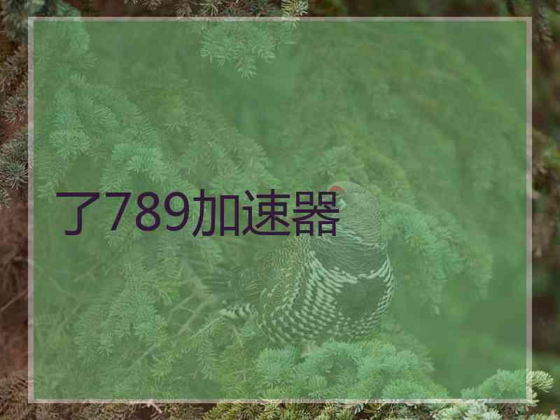 了789加速器