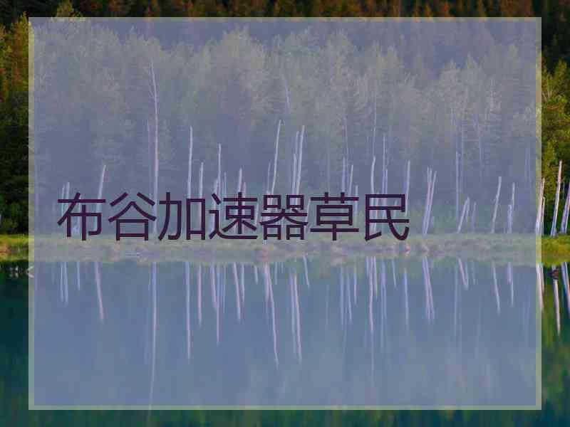 布谷加速器草民