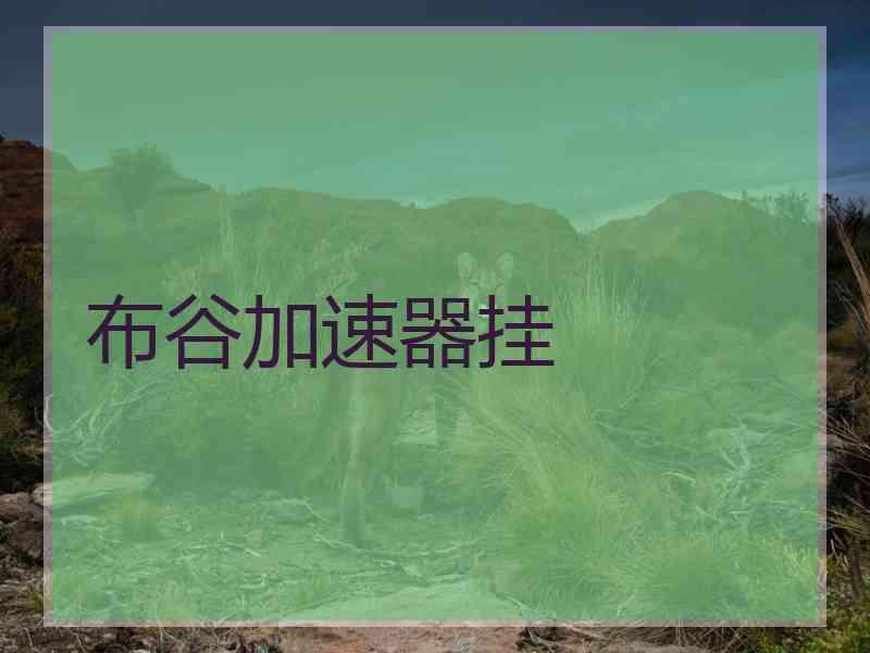 布谷加速器挂