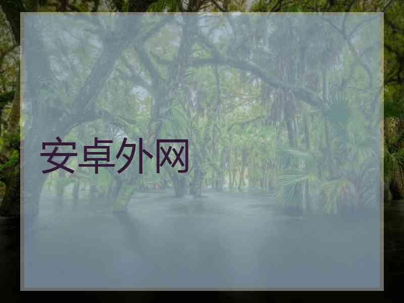 安卓外网