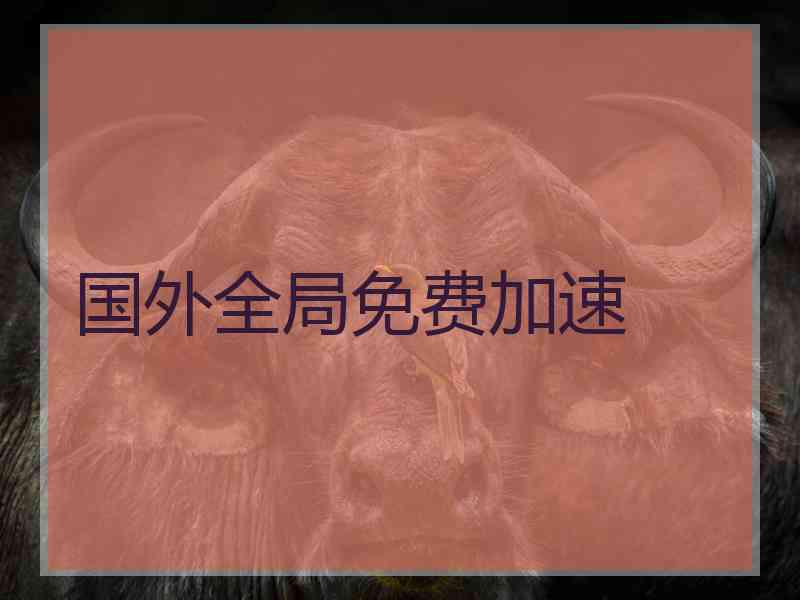 国外全局免费加速
