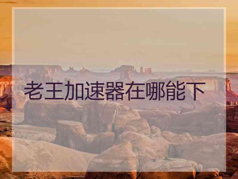 老王加速器在哪能下