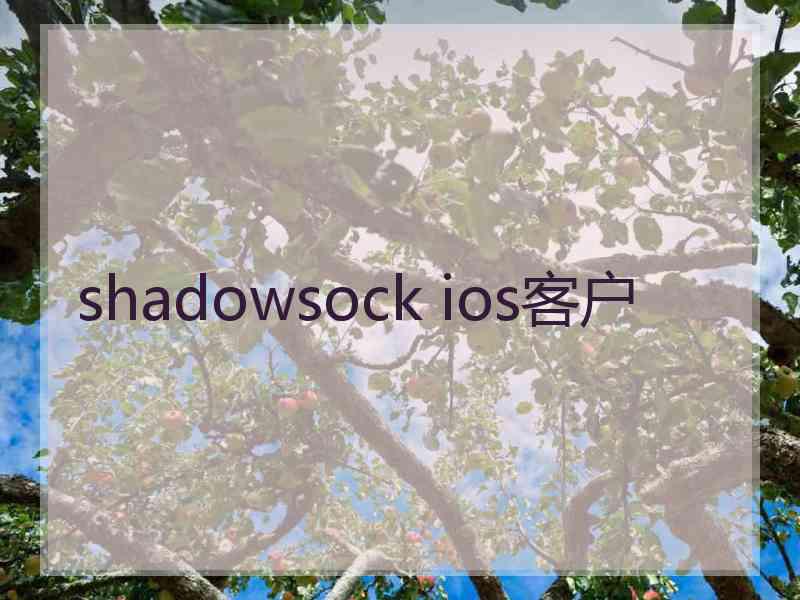shadowsock ios客户