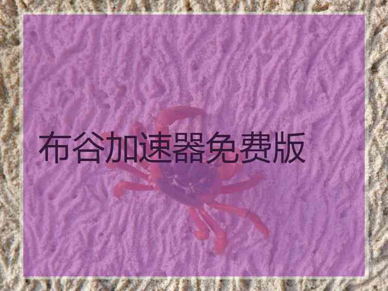 布谷加速器免费版