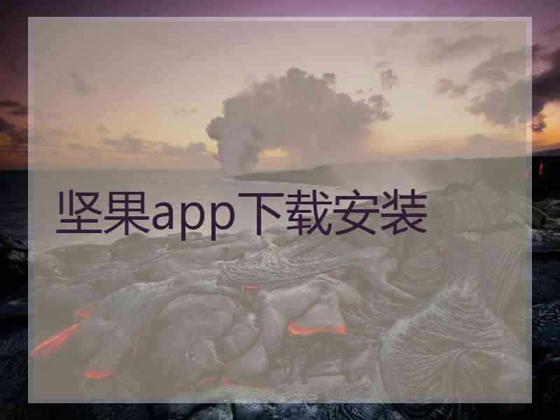 坚果app下载安装