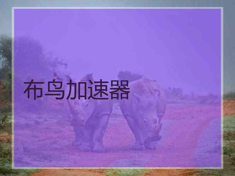 布鸟加速器