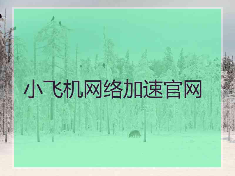 小飞机网络加速官网