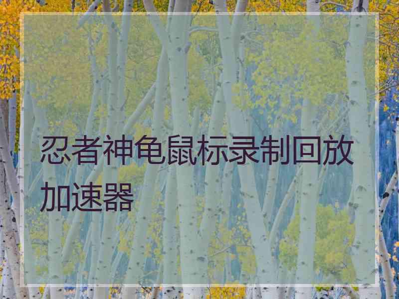 忍者神龟鼠标录制回放加速器