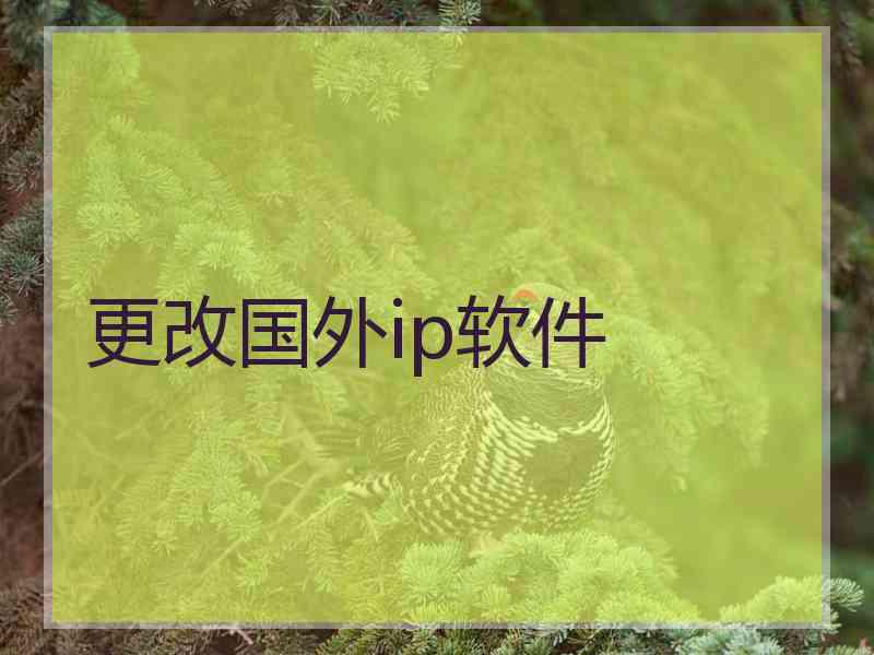 更改国外ip软件