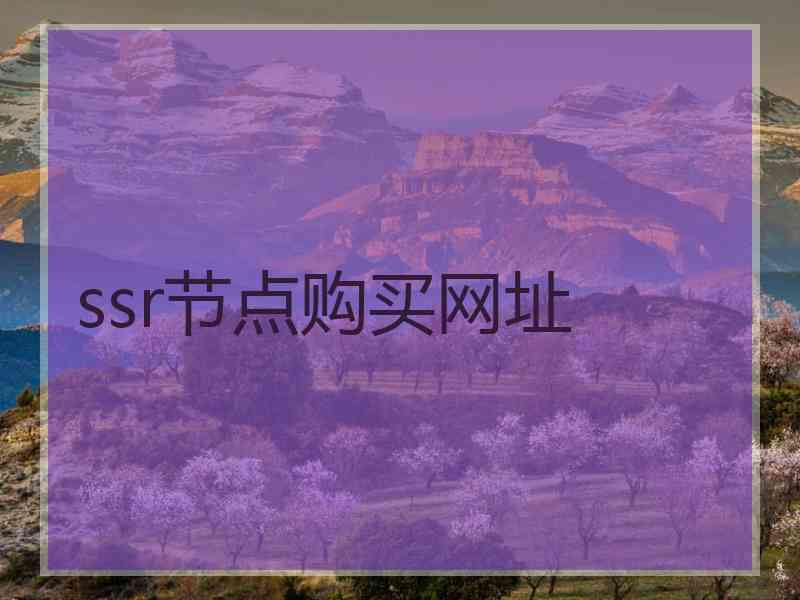 ssr节点购买网址