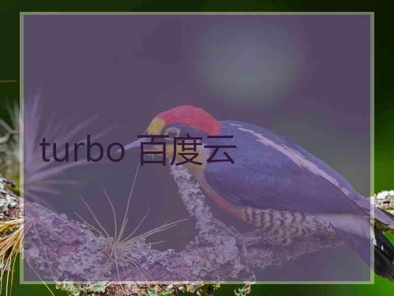 turbo 百度云