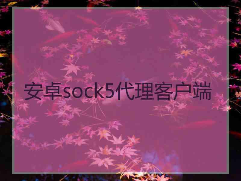 安卓sock5代理客户端