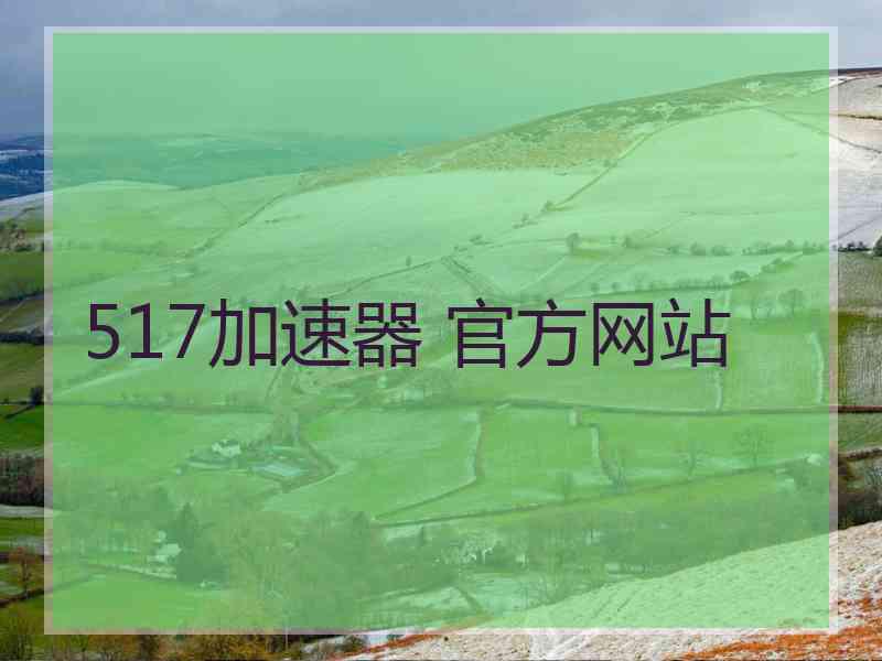 517加速器 官方网站