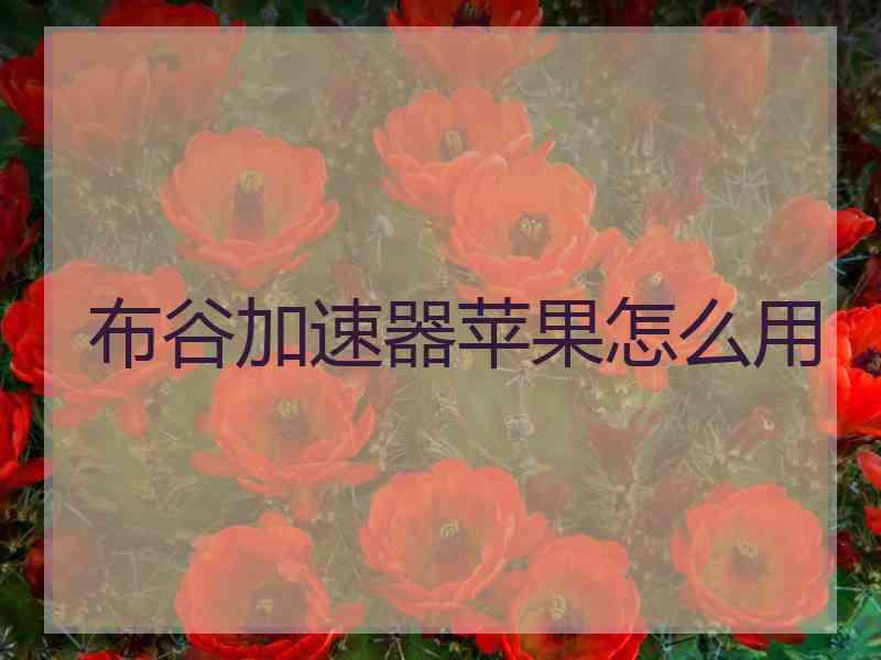 布谷加速器苹果怎么用
