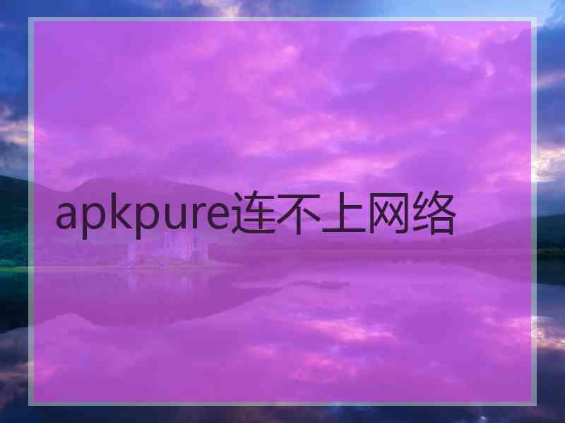 apkpure连不上网络