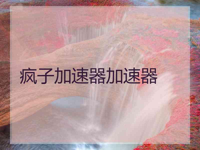 疯子加速器加速器