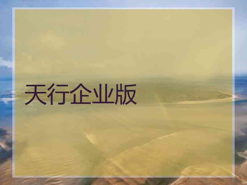 天行企业版