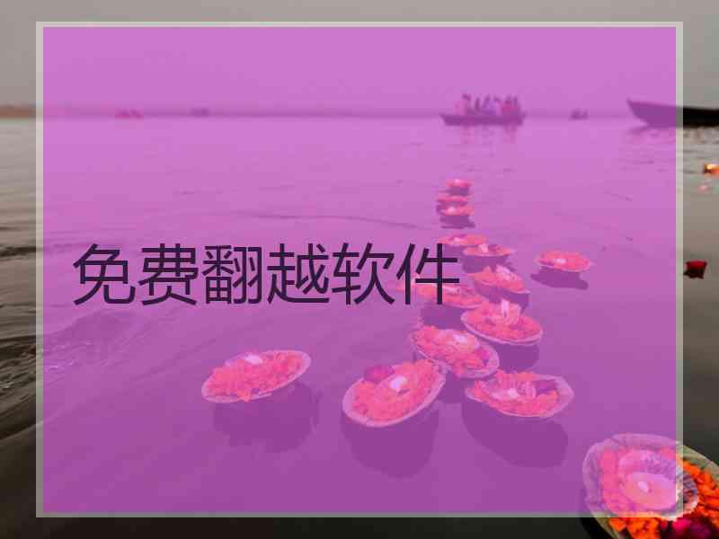 免费翻越软件