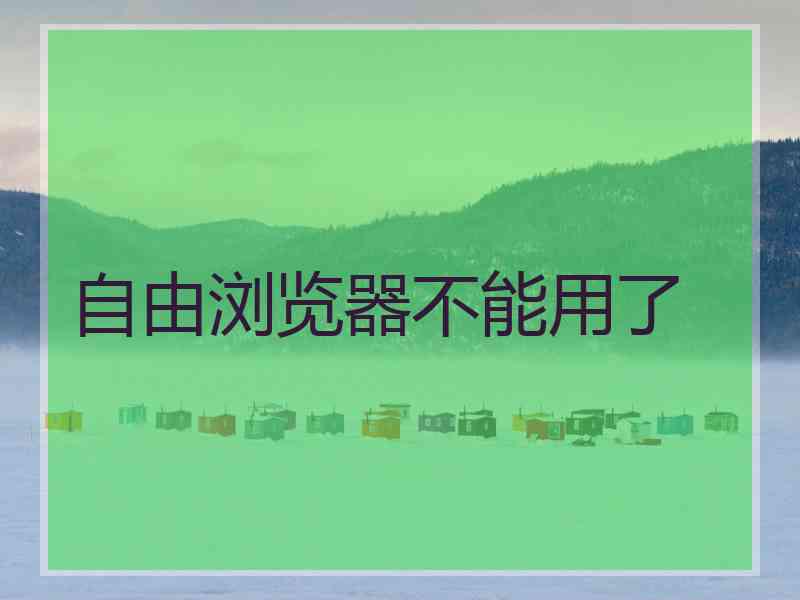 自由浏览器不能用了