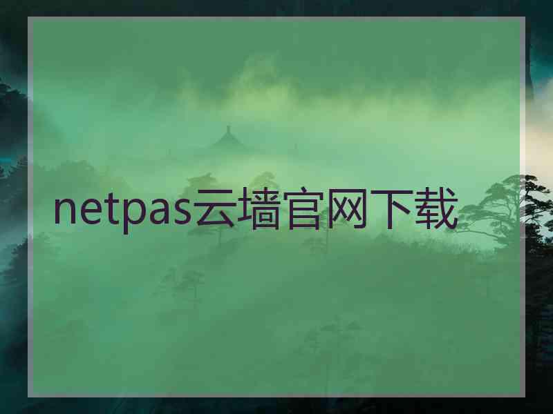 netpas云墙官网下载