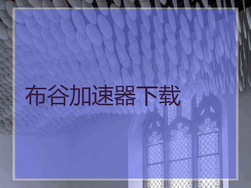 布谷加速器下载