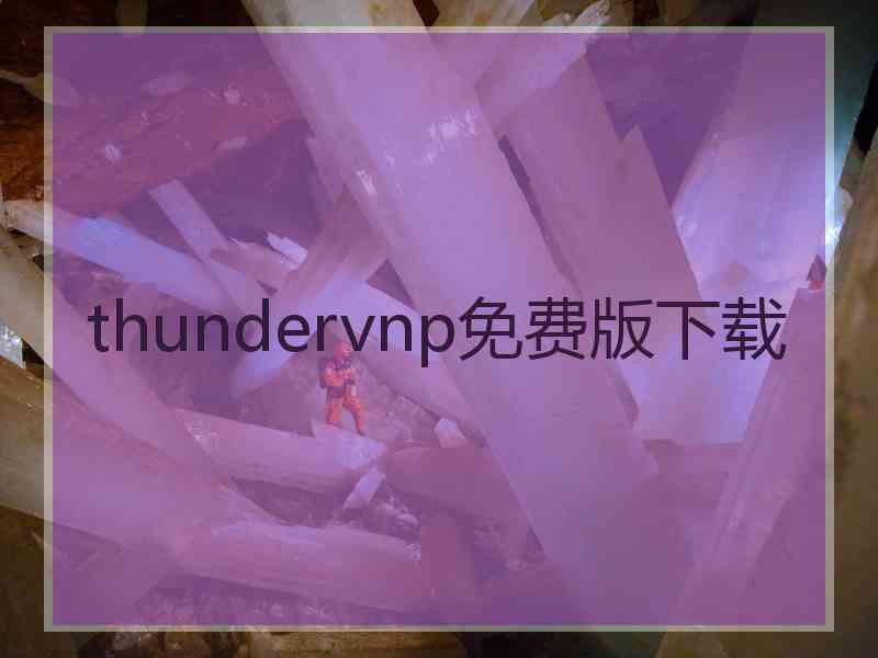 thundervnp免费版下载