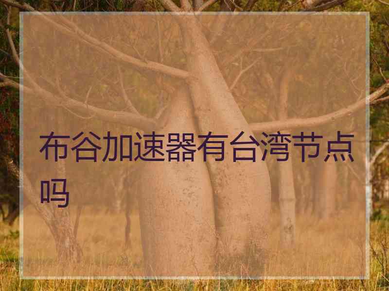布谷加速器有台湾节点吗