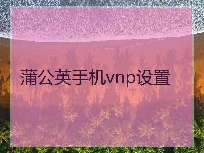 蒲公英手机vnp设置